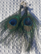 Load image into Gallery viewer, Peacock Feathers